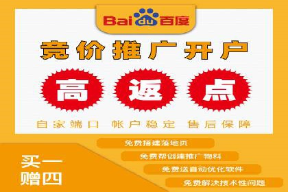 百度推广在电商领域的应用：成功提升销售额的秘诀